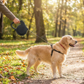 Automatic Retractable Dog Leash