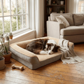 Memory Foam Orthopedic Dog Bed