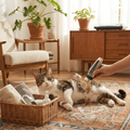 Cordless Pet Grooming Clipper