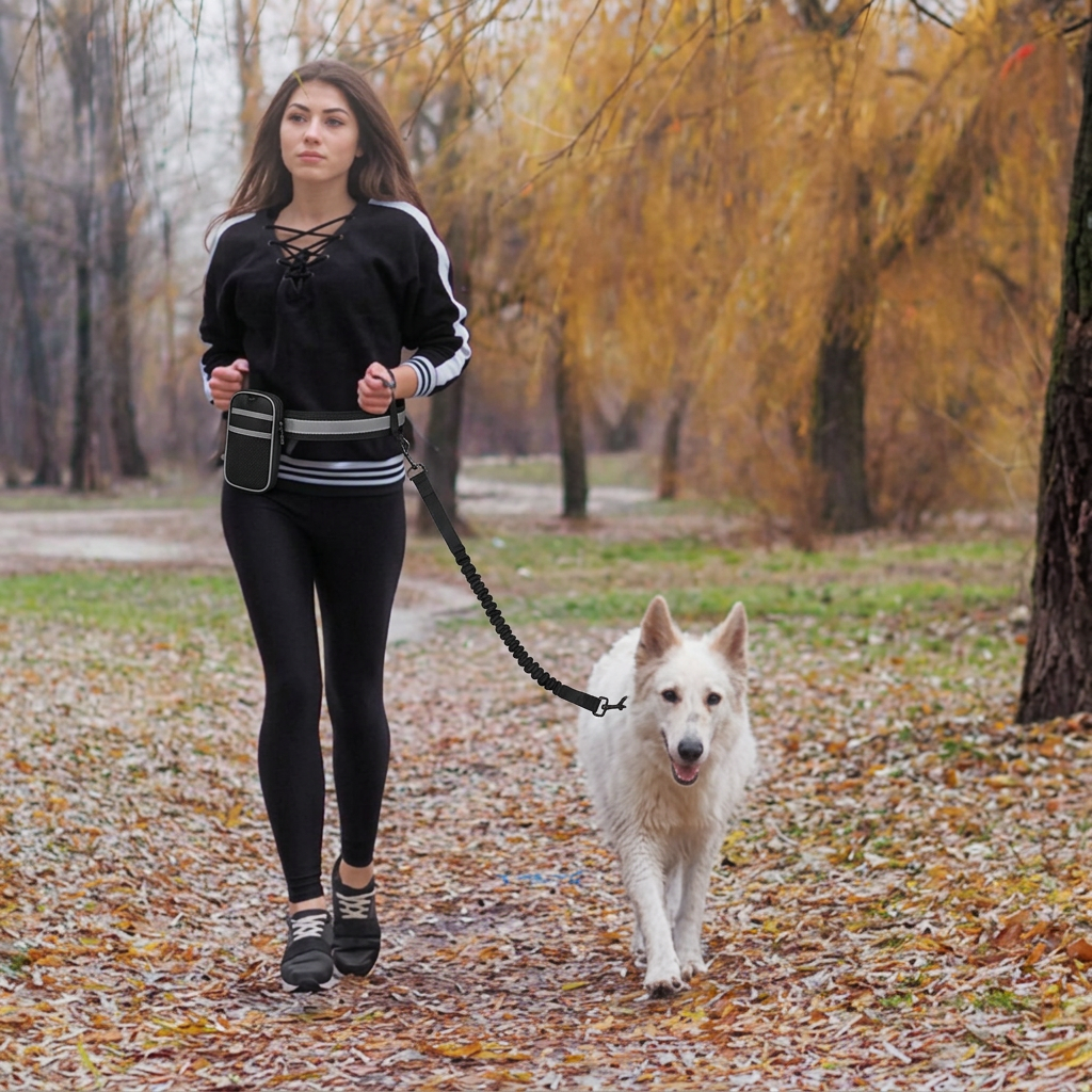 Running & Walking Dog Leash