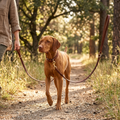 Cowhide Multifunctional Dog Leash