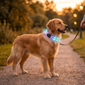 USB Rechargeable LED Dog Collar