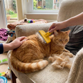 Pet Grooming Comb
