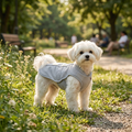 Dog Summer Cooling Vest