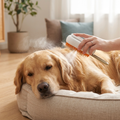 Electric Grooming Brush with Massage